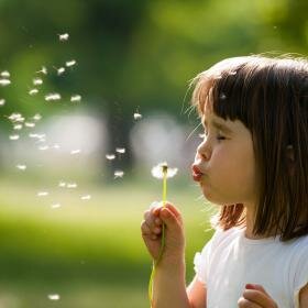 pollen enfant - source fotolia