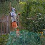 Je couvre les sols pour limiter les mauvaises herbes et ainsi l’usage des pesticides. Je couvre les sols pour limiter les mauvaises herbes et ainsi l’usage des pesticides.