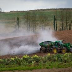 photo_menthedogs_agriculture_flicker.jpg