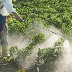 Photo épandage pesticide 