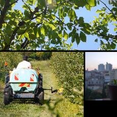 photo video pesticides.jpg