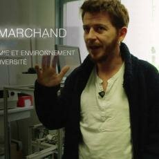 See Projet européen APICE : origine des particules dans 5 villes portuaires méditerranéennes