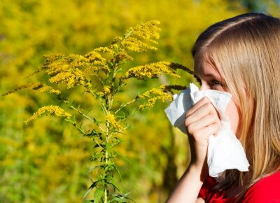Photo allergie pollen