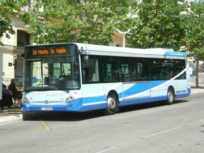 photo_bus_nice.jpg