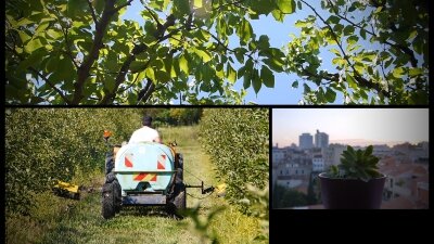 photo video pesticides.jpg